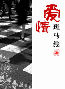 亚洲国产精品久久久久久6q